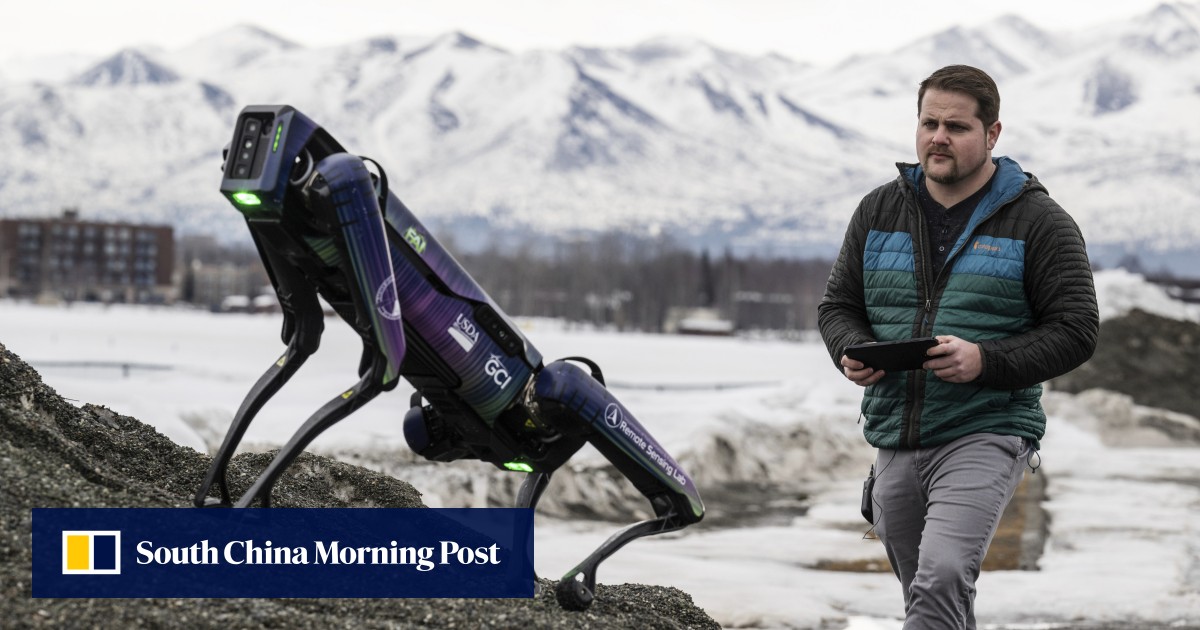 Robot yang menyamar sebagai coyote atau rubah akan menakut-nakuti satwa liar dari landasan pacu di bandara Alaska